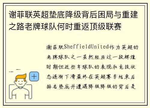 谢菲联英超垫底降级背后困局与重建之路老牌球队何时重返顶级联赛